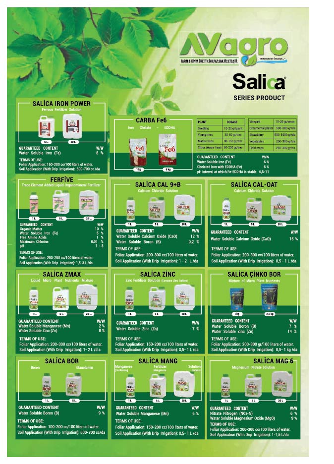 Salica İngilizce Katalog